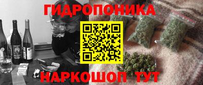 спиды Аргун