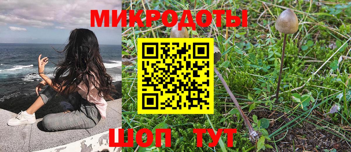 Богородицк  Псилоцибиновые грибы прущие грибы  Псилоцибиновые грибы мухоморы  Вход с VPN 